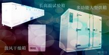 绽放2023 一一四夏令营的成长与灿烂